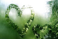 异军突起！一支前所未见的球队崭露头角