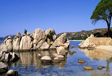 异军突起！一支前所未见的球队崭露头角